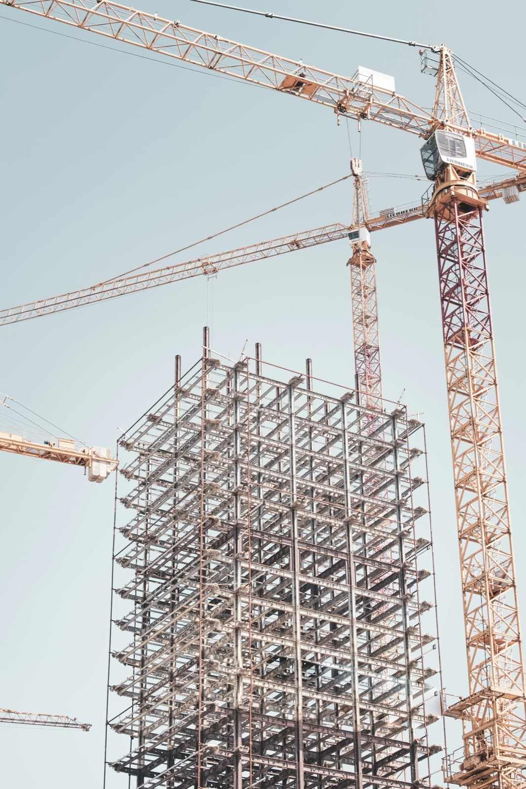 Tower cranes over a steel-frame high-rise
